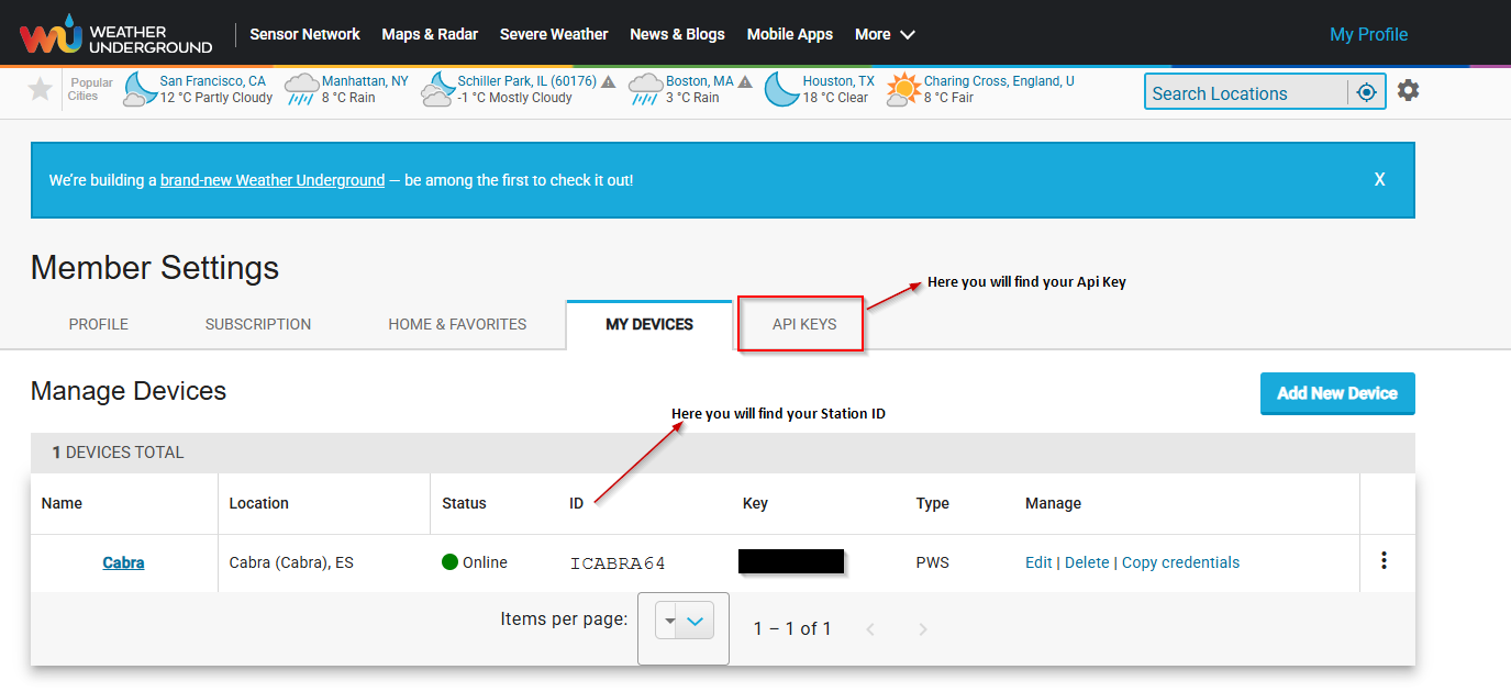 Step 2 – Member Settings showing Station ID and API KEYS tab