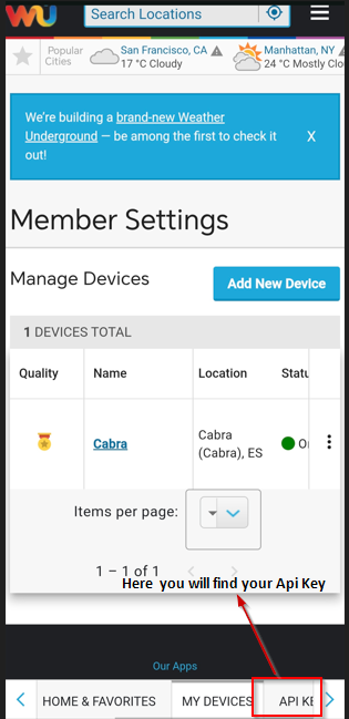 Mobile view – API KEYS tab at the bottom of the screen